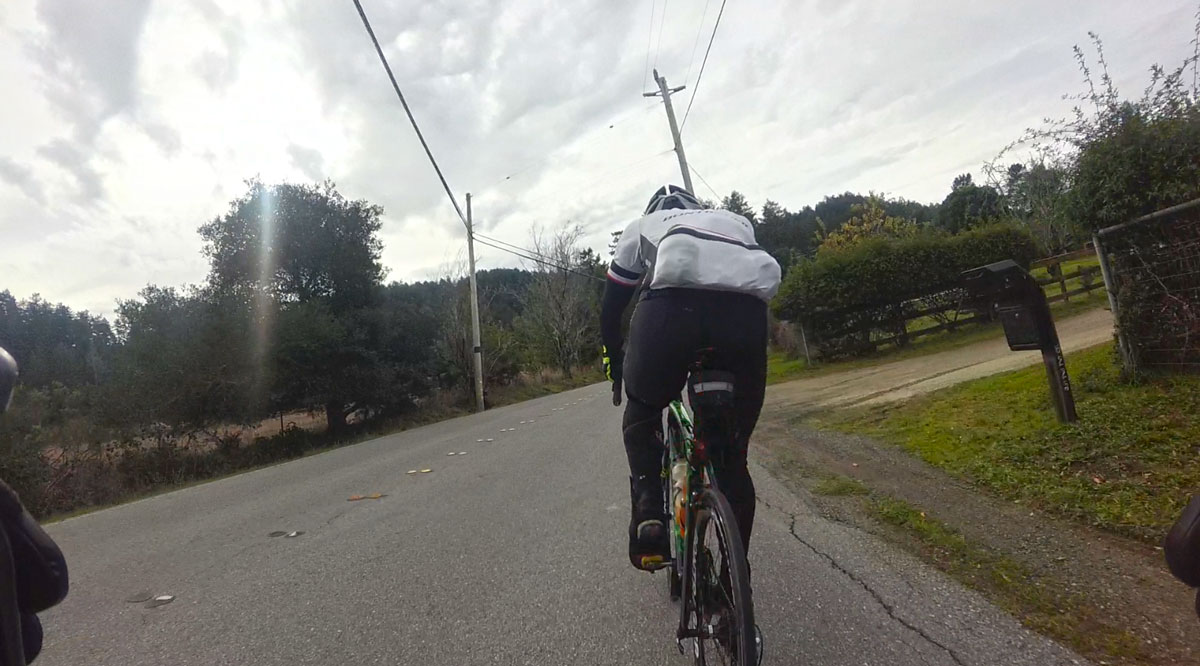 Kevin was on fire today; this is on Pescadero Road, where he set a new PR about 30 seconds faster than I've ridden that stretch in recent history. It was all his; I was in no shape to help at the front.
