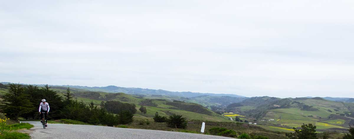 The final "bump" on Stage Road, heading north towards Highway 1 and Tunitas Creek.
